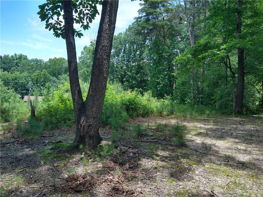 2112 Allgood Road Northeast Marietta, GA 30062 - Photo 33 of 51 a view of a forest