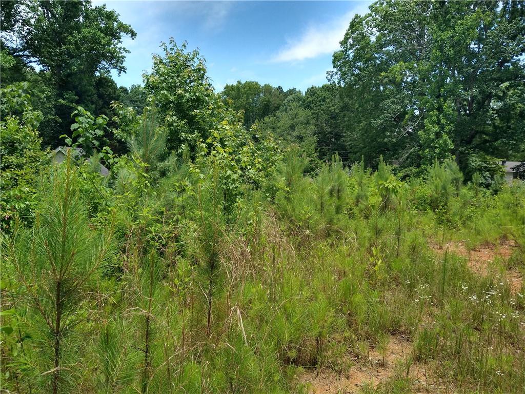 2112 Allgood Road Northeast Marietta, GA 30062 - Photo 35 of 51 a view of a lush green forest
