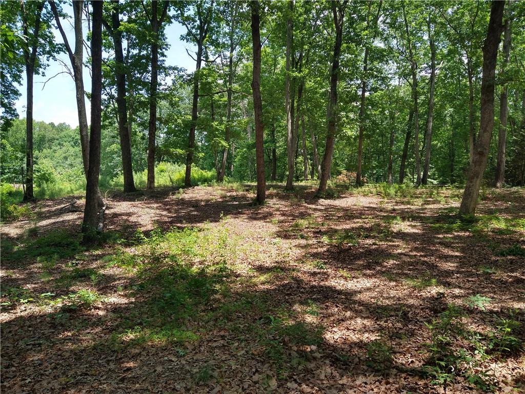 2112 Allgood Road Northeast Marietta, GA 30062 - Photo 37 of 51 a fire hydrant in the middle of a field