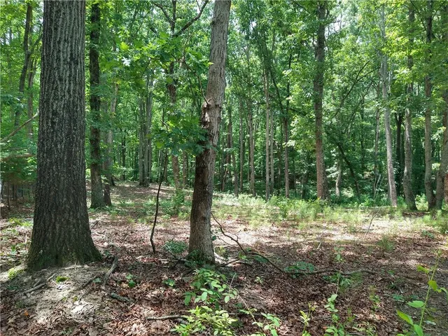 a view of a backyard with green space