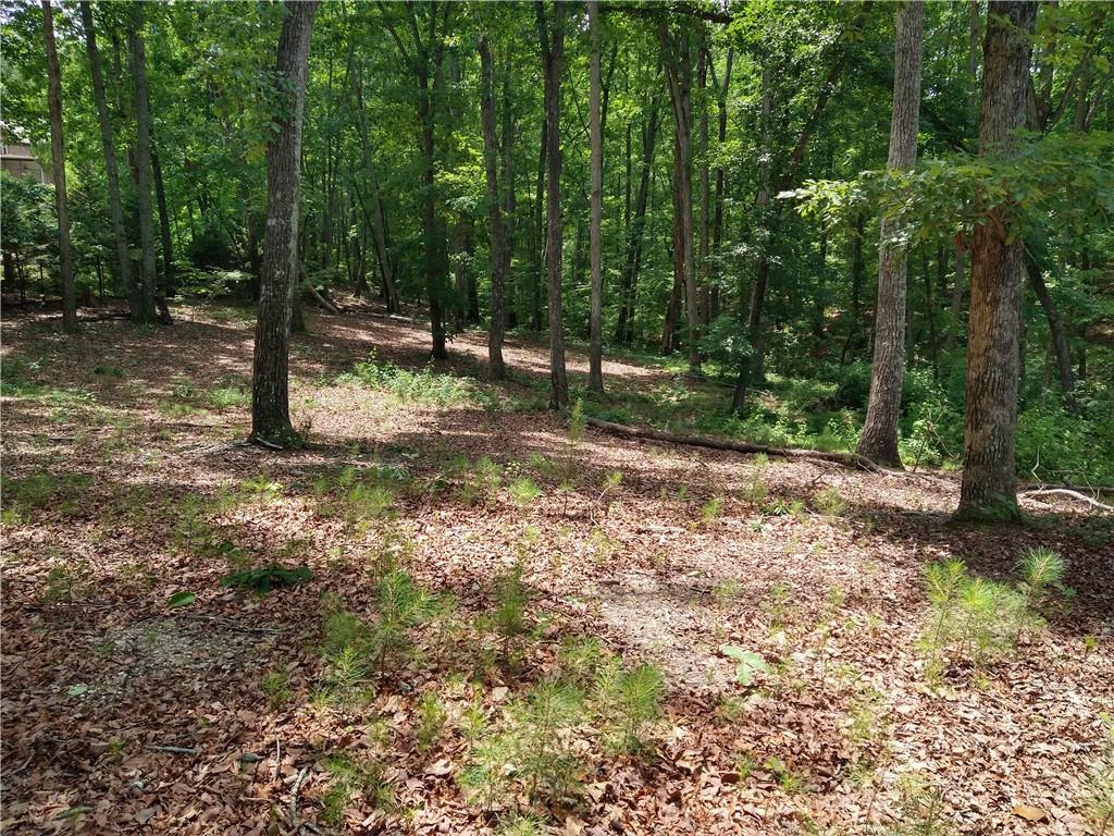 2112 Allgood Road Northeast Marietta, GA 30062 - Photo 4 of 51 a view of outdoor space with trees