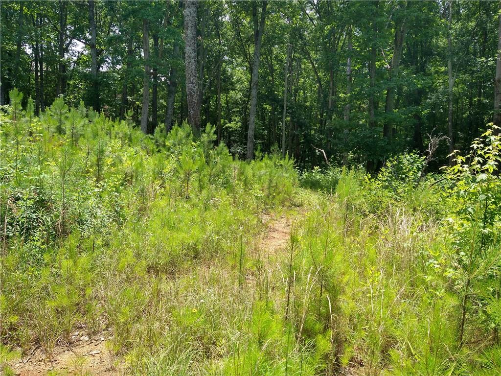 2112 Allgood Road Northeast Marietta, GA 30062 - Photo 41 of 51 a view of outdoor space and green space