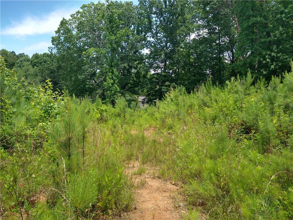 2112 Allgood Road Northeast Marietta, GA 30062 - Photo 42 of 51 a view of a lush green forest