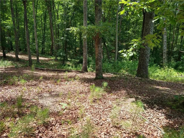 a view of a tree in a yard