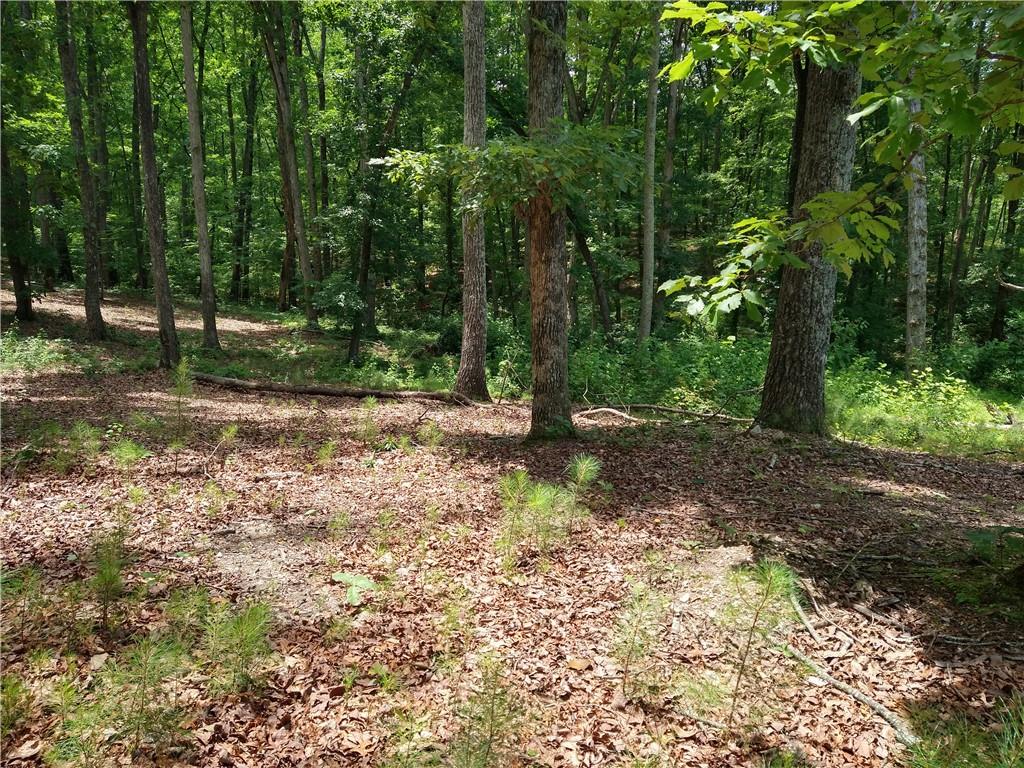 2112 Allgood Road Northeast Marietta, GA 30062 - Photo 43 of 51 a view of a yard with plants and trees