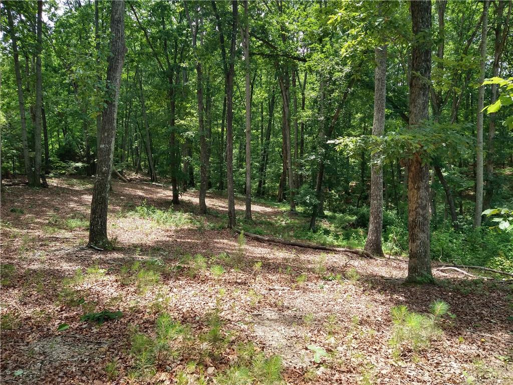 2112 Allgood Road Northeast Marietta, GA 30062 - Photo 44 of 51 a view of a tree in a yard