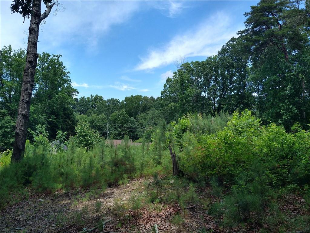 2112 Allgood Road Northeast Marietta, GA 30062 - Photo 45 of 51 a view of a lush green forest with lots of trees