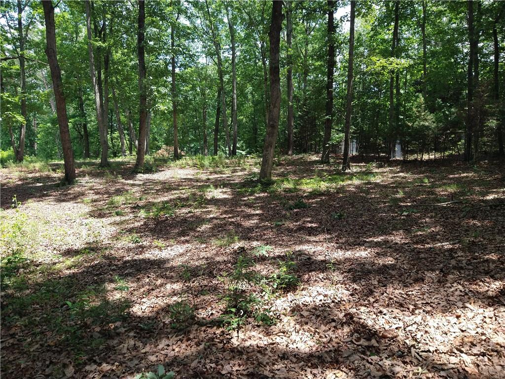 2112 Allgood Road Northeast Marietta, GA 30062 - Photo 47 of 51 a view of outdoor space with trees
