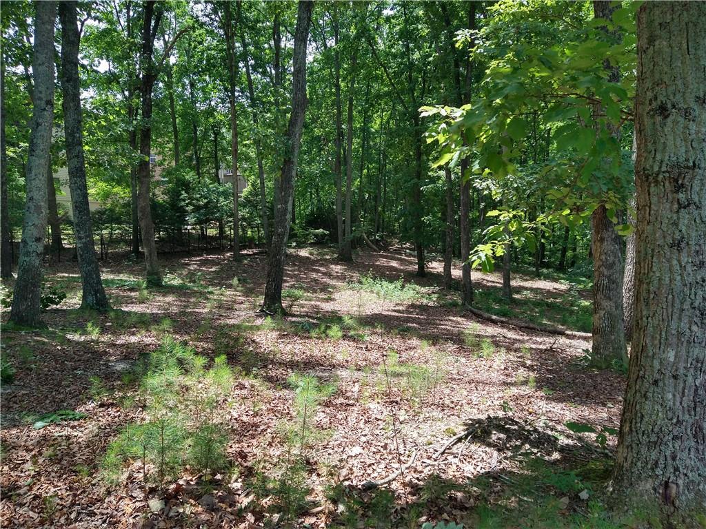 2112 Allgood Road Northeast Marietta, GA 30062 - Photo 48 of 51 a backyard of a house with lots of green space