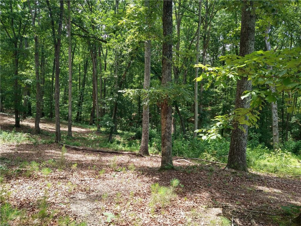 2112 Allgood Road Northeast Marietta, GA 30062 - Photo 5 of 51 a view of outdoor space and trees
