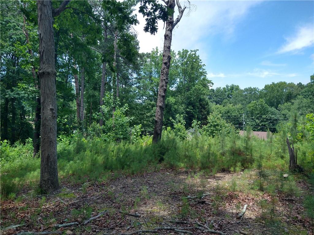 2112 Allgood Road Northeast Marietta, GA 30062 - Photo 6 of 51 a view of a yard