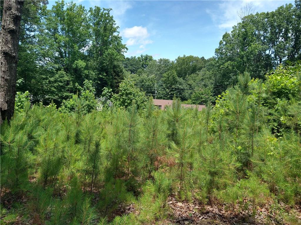 2112 Allgood Road Northeast Marietta, GA 30062 - Photo 7 of 51 a view of a lush green forest with trees and houses
