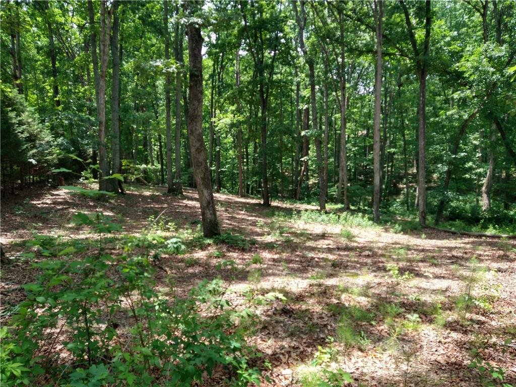 2112 Allgood Road Northeast Marietta, GA 30062 - Photo 10 of 51 a view of pool with trees