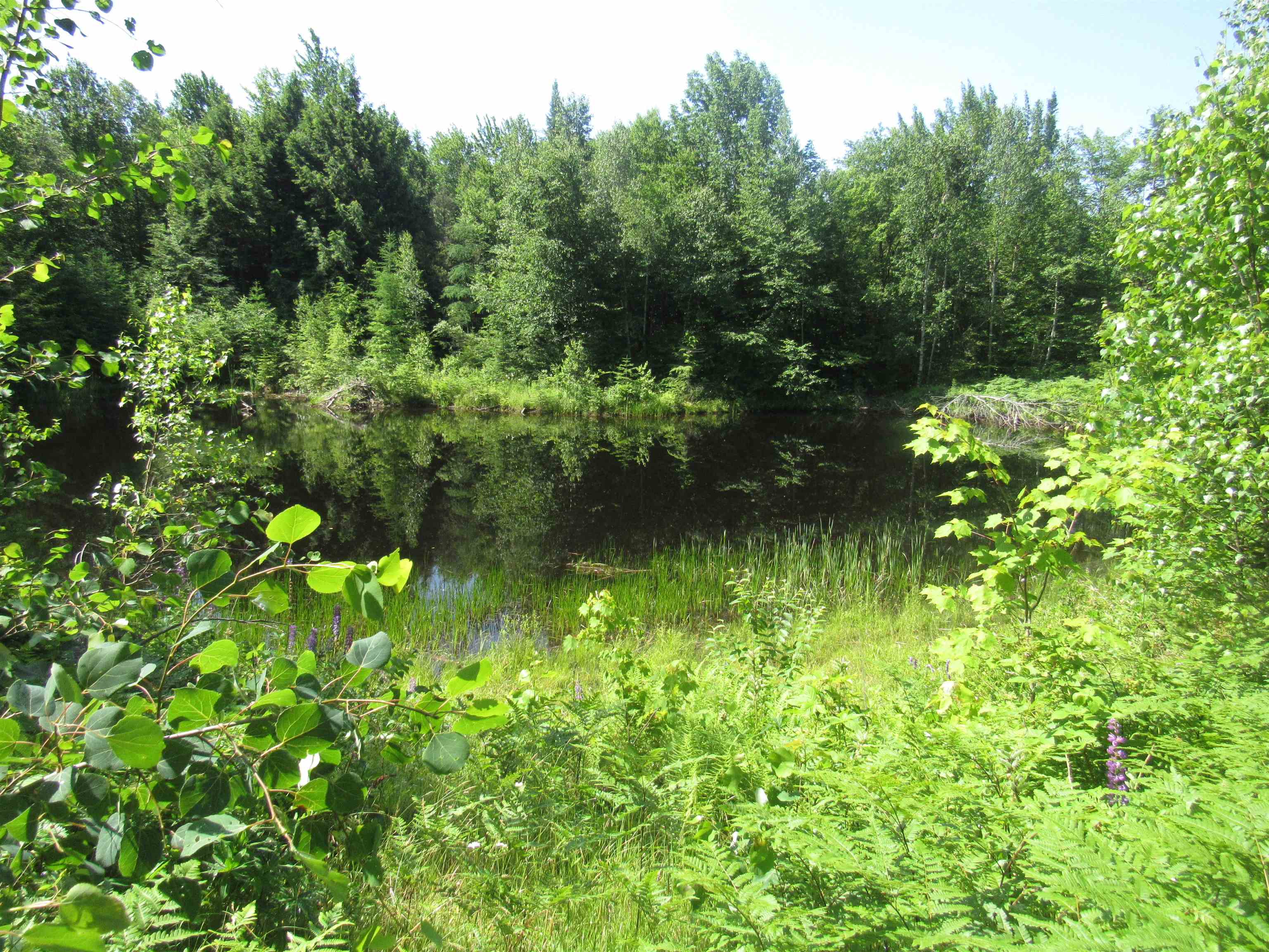 1239 Baldwin Brook Road Wolcott, VT 05680 - Photo 22 of 31