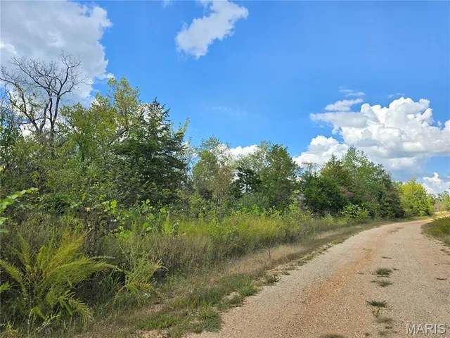 $237,500 | 50 Acres Highway, Cadet, MO 63630