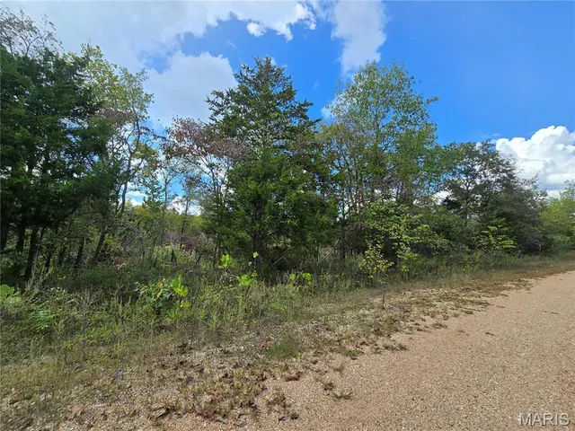 $237,500 | 50 Acres Highway, Cadet, MO 63630