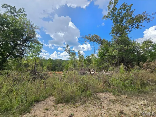 $237,500 | 50 Acres Highway, Cadet, MO 63630