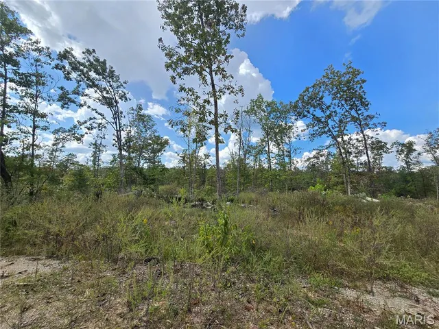 $237,500 | 50 Acres Highway, Cadet, MO 63630