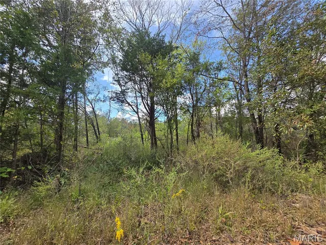 $237,500 | 50 Acres Highway, Cadet, MO 63630