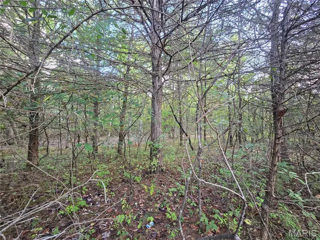 $237,500 | 50 Acres Highway, Cadet, MO 63630