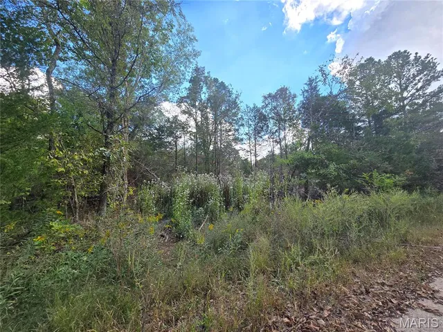 $237,500 | 50 Acres Highway, Cadet, MO 63630