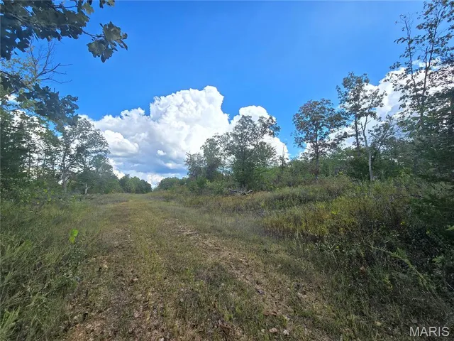 $237,500 | 50 Acres Highway, Cadet, MO 63630
