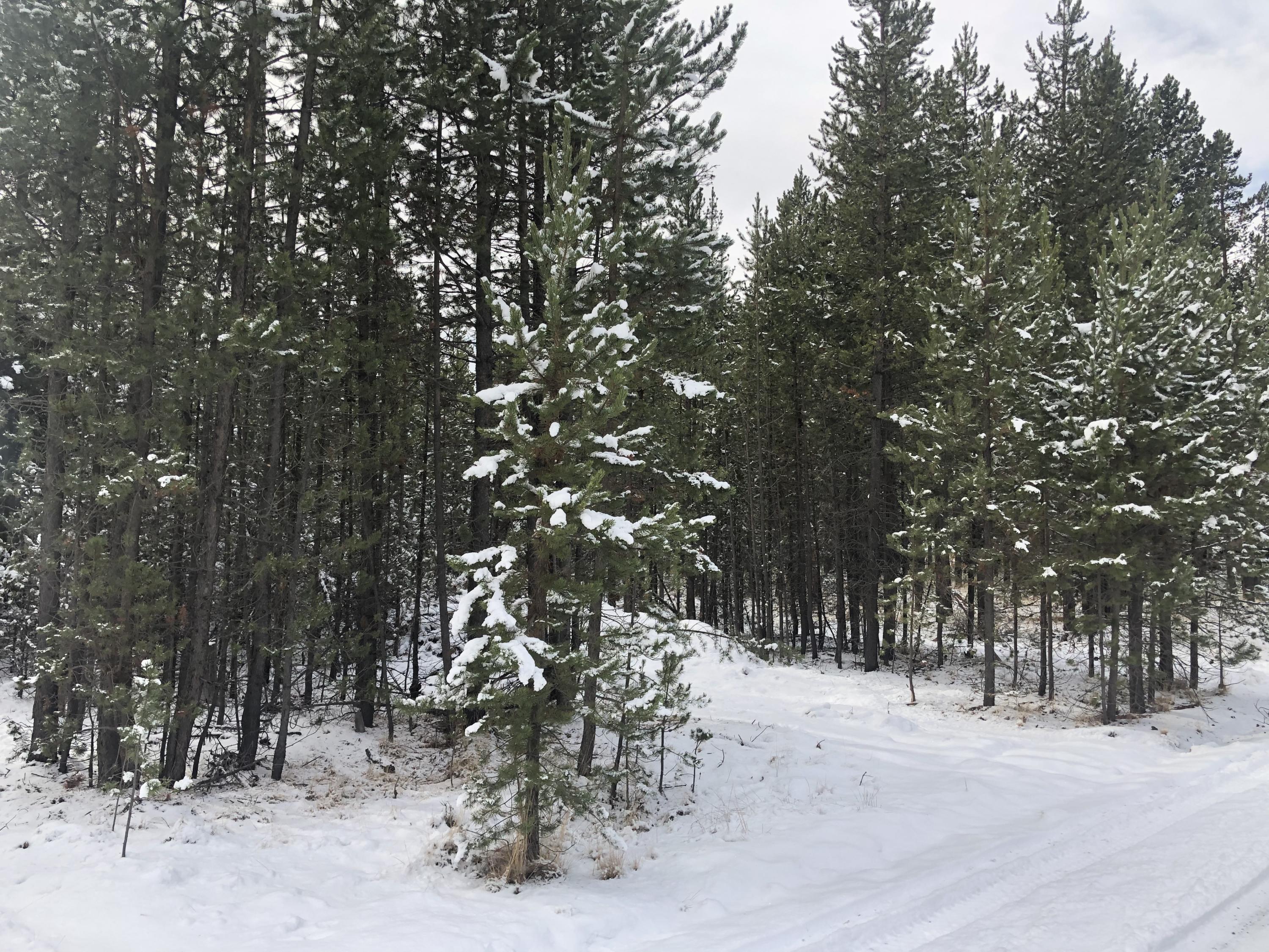 17057 Jacinto Road Bend, OR 97707 - Photo 1 of 1 Street View