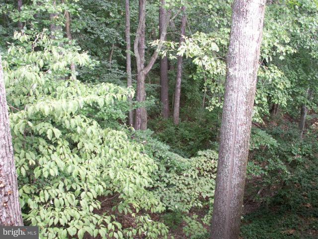 11737 Ledura Court, Unit 201 Reston, VA 20191 - Photo 3 of 5 a view of a garden with plants