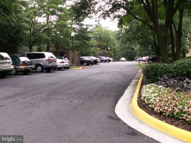 11737 Ledura Court, Unit 201 Reston, VA 20191 - Photo 5 of 5 a view of cars parked on a street side