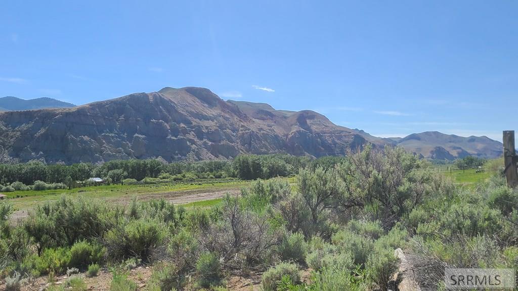 6 Homestead Trail Challis, ID 83226 - Photo 21 of 36
