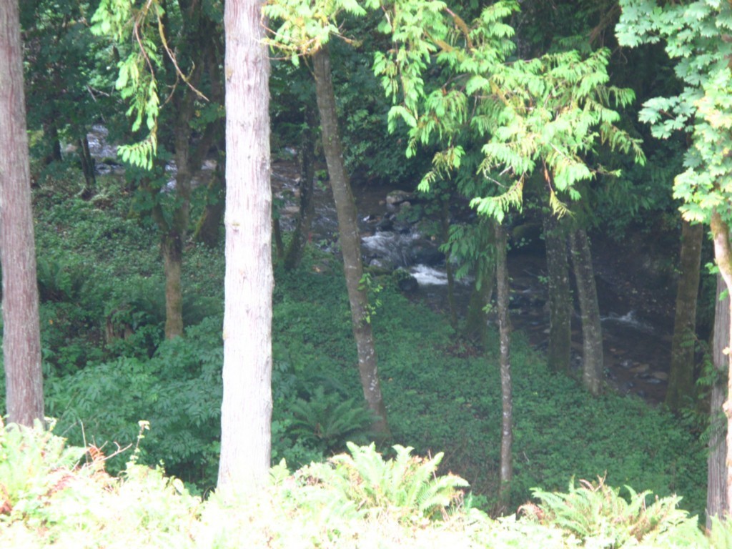 27 North Jensen Road Port Angeles, WA 98362 - Photo 25 of 25 Gallery Image 25