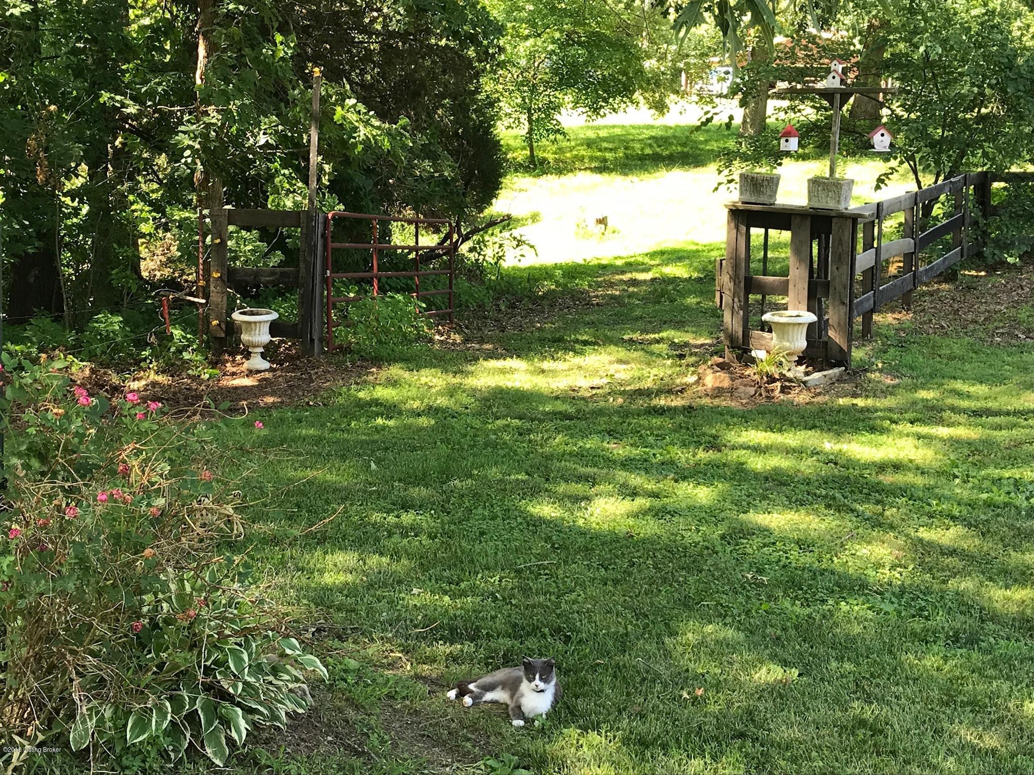 505 Bunger Road Ekron, KY 40117 - Photo 27 of 69 4E7D558A-E563-4322-8859-584B2D0AB225