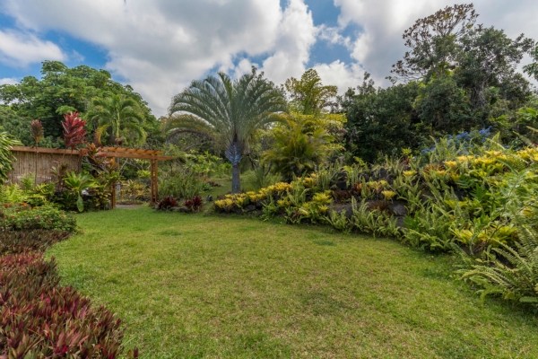83-5366 Painted Church Road Captain Cook, HI 96704 - Photo 24 of 25 a view of a green yard