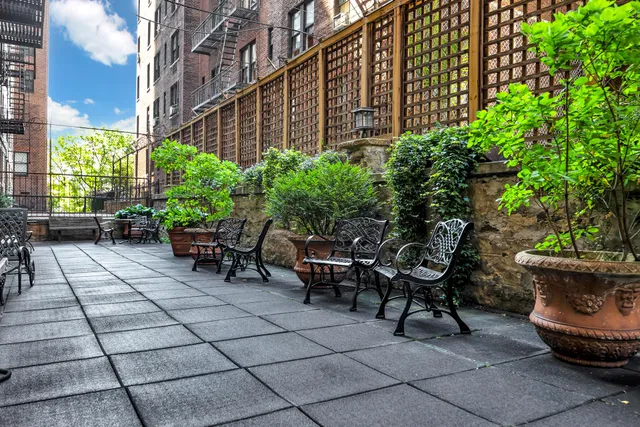 a view of a garden with plants and flowers