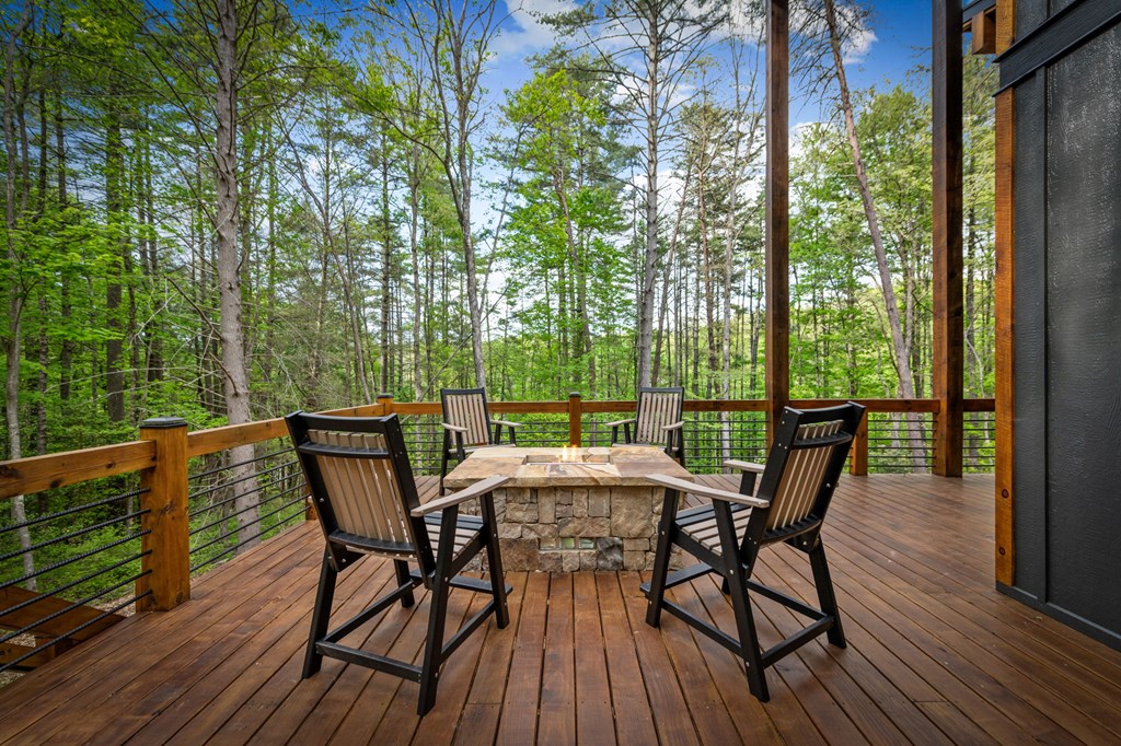 42 Rolling Rapids Blue Ridge, GA 30513 - Photo 68 of 88 Gallery Image 68