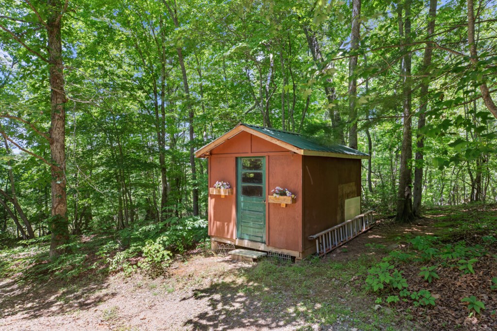 66 Fortenberry Road Young Harris, GA 30582 - Photo 45 of 55 a view of a small barn in the middle of a forest