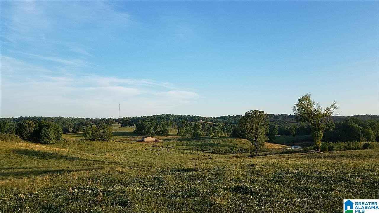 31 County Road Ashland, AL 36251 - Photo 20 of 38