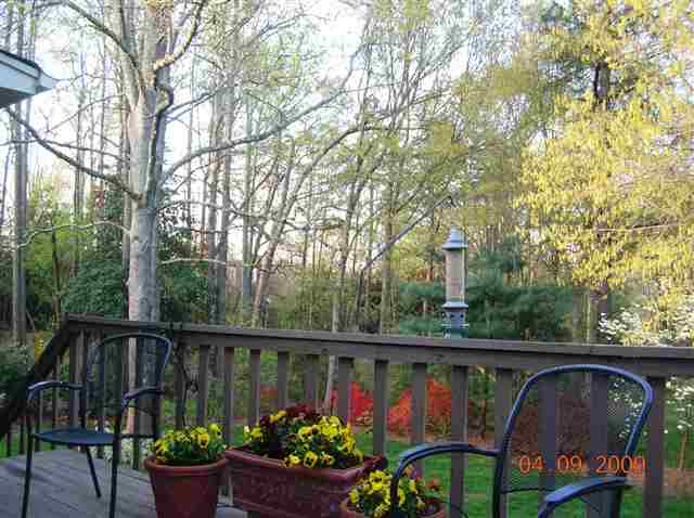 706 Stone Ridge Road Greer, SC 29650 - Photo 18 of 25 Gallery Image 18
