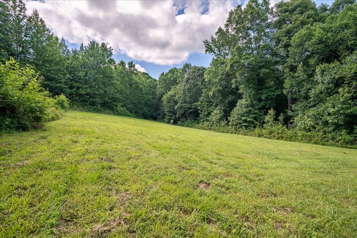 1630 Johnson Branch Road Pulaski, TN 38478 - Photo 5 of 43