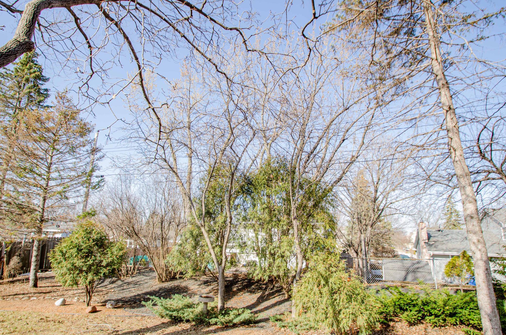 8232 Beard Road Bloomington, MN 55431 - Photo 48 of 51