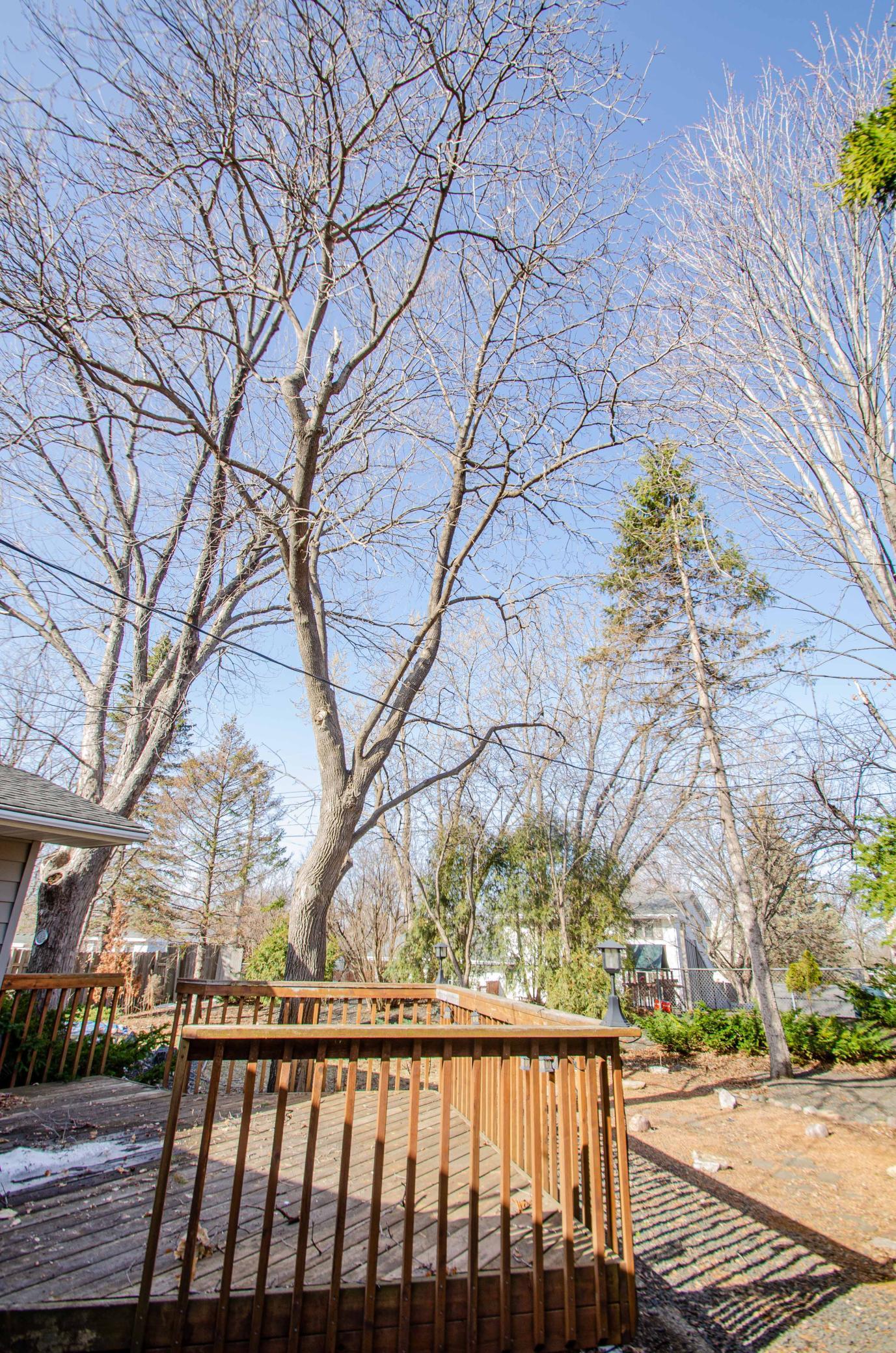 8232 Beard Road Bloomington, MN 55431 - Photo 50 of 51