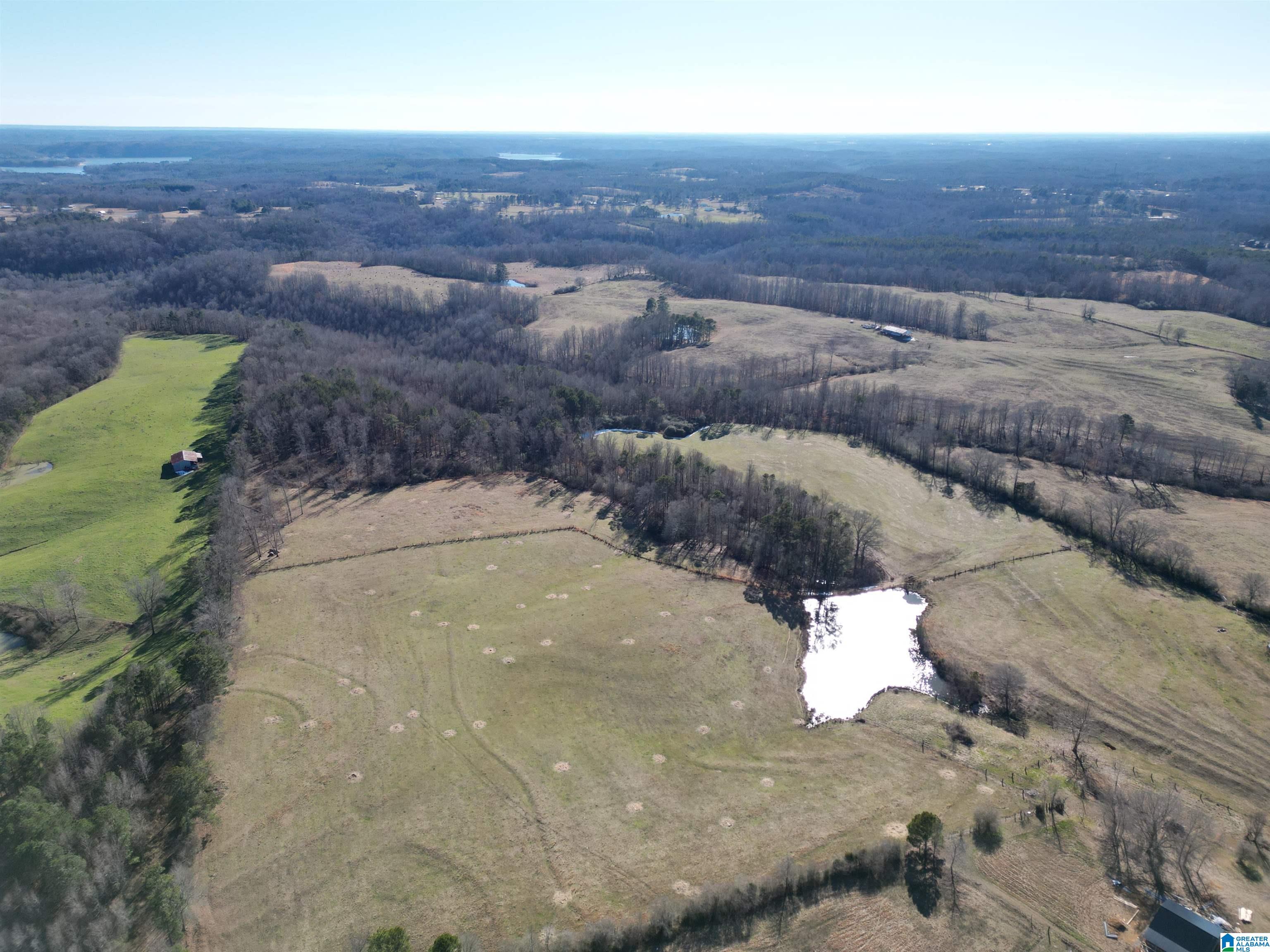 682 County Road 832 Logan, AL 35098 - Photo 36 of 48