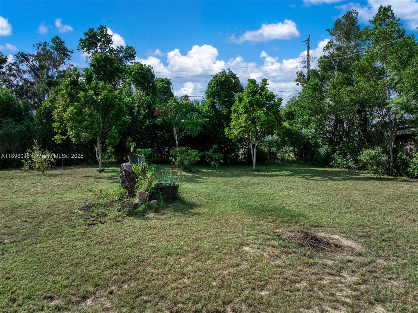 1612 Hitakee Avenue Sebring, FL 33870 - Photo 32 of 34 a view of a park