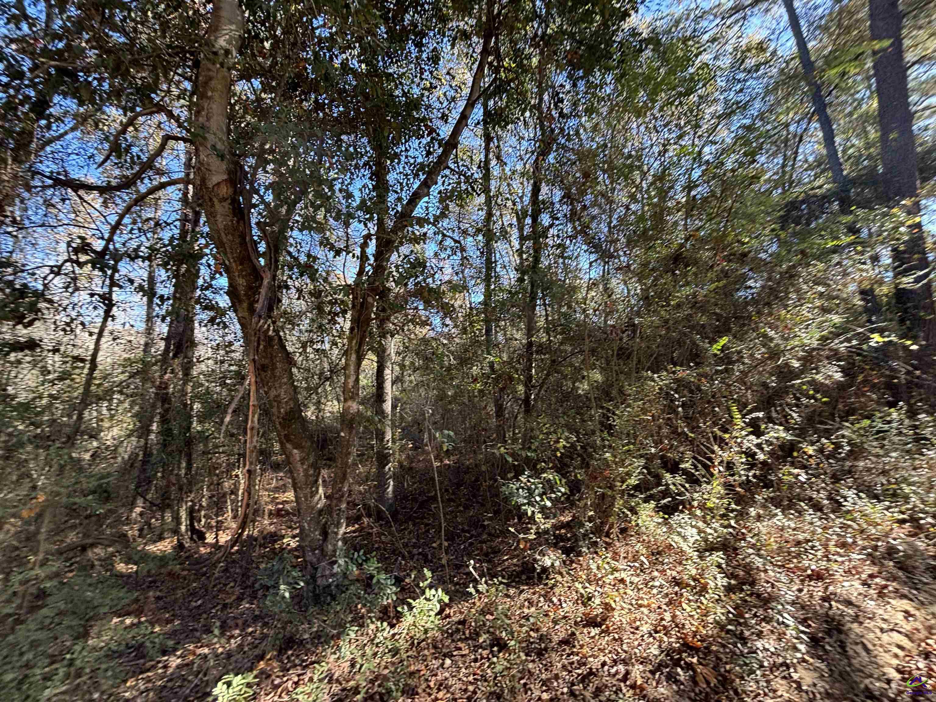 Julian Simpson Road Cochran, GA 31014 - Photo 1 of 3