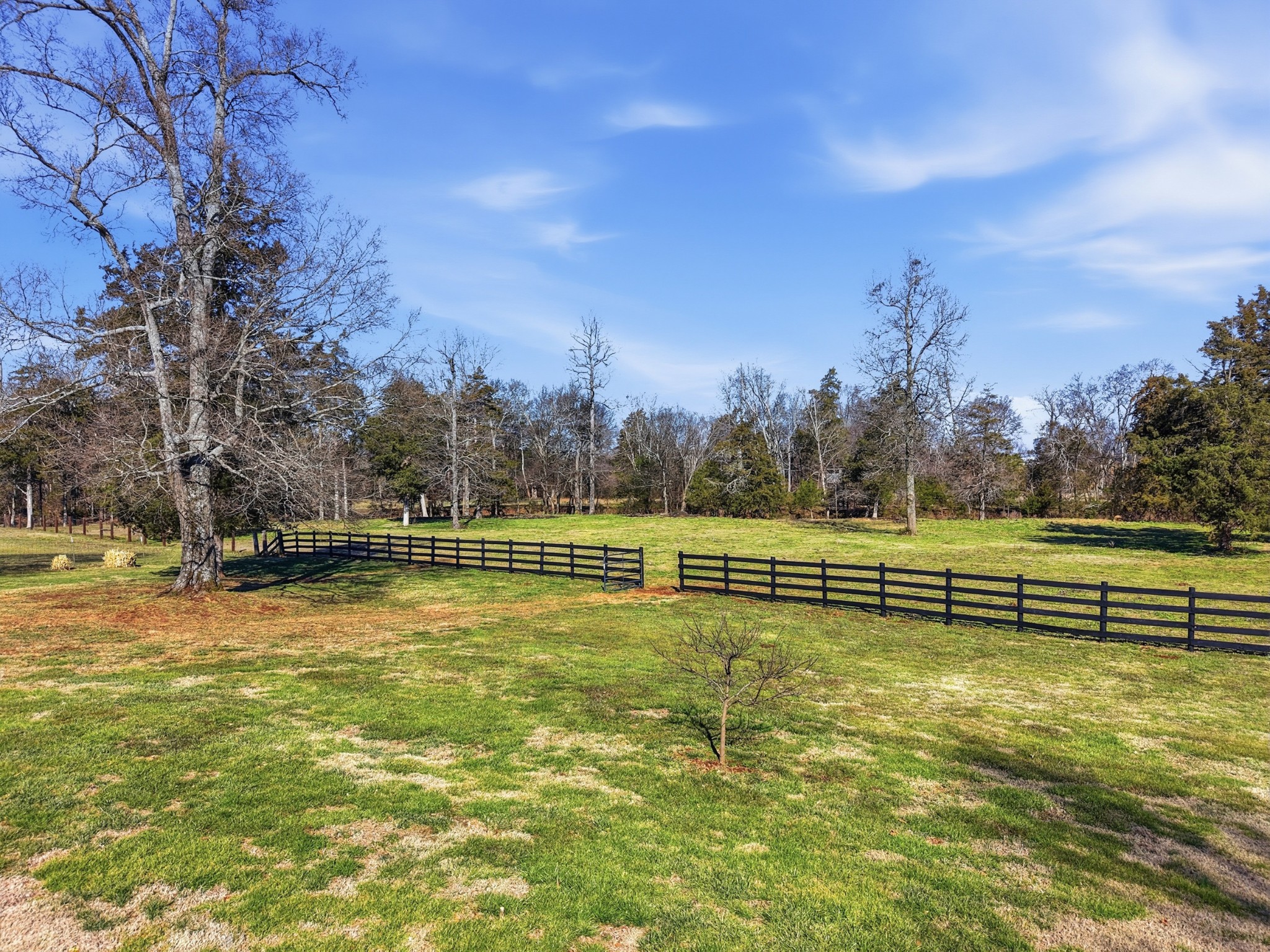 1001 Williams Street Decherd, TN 37324 - Photo 68 of 71