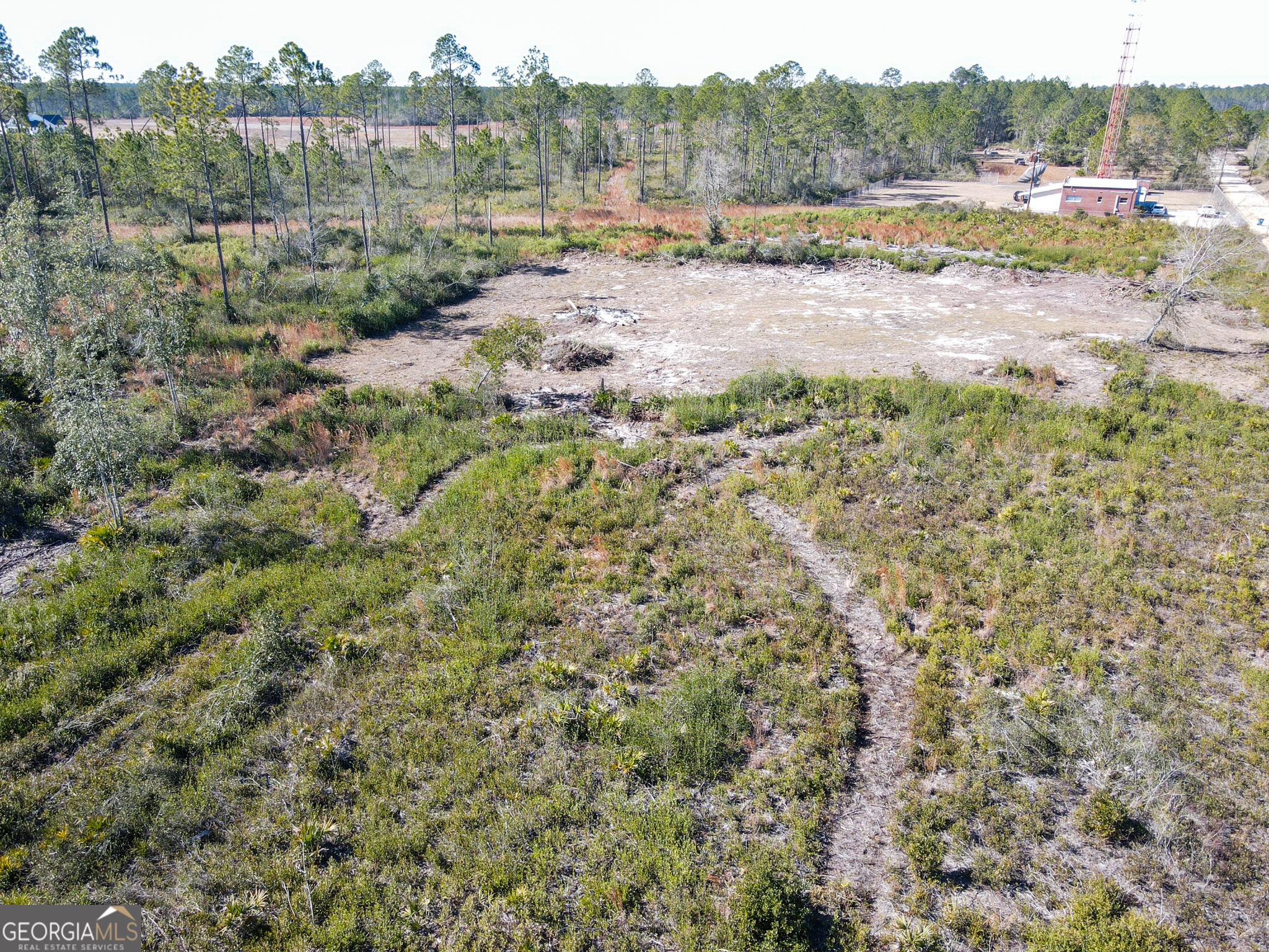 1379 Hasty Road Millwood, GA 31552 - Photo 3 of 8