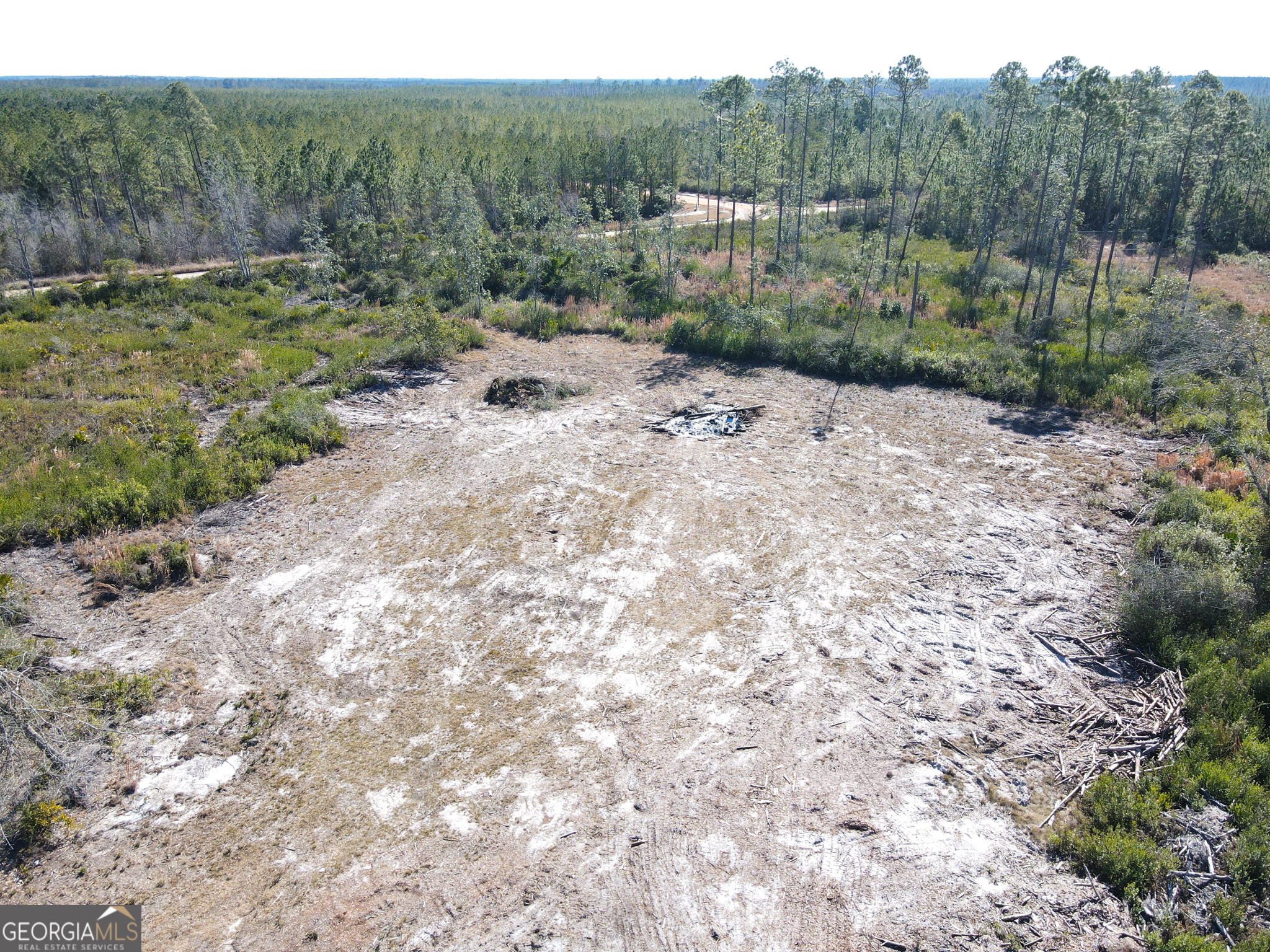 1379 Hasty Road Millwood, GA 31552 - Photo 4 of 8