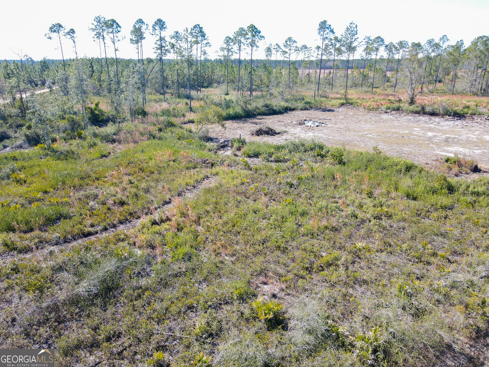 1379 Hasty Road Millwood, GA 31552 - Photo 6 of 8