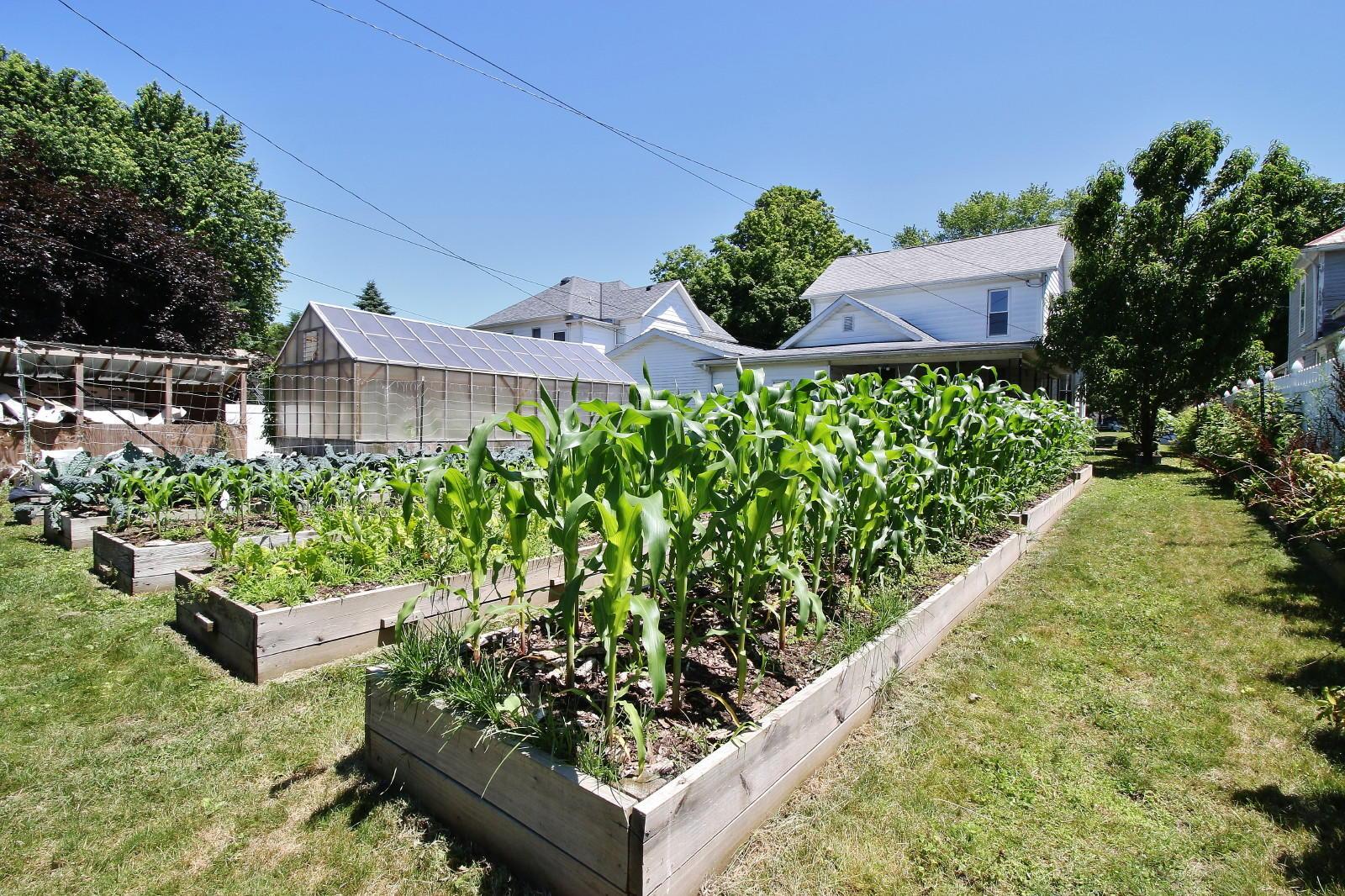 1007 Main Street Dresden, OH 43821 - Photo 23 of 32