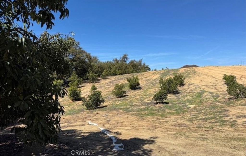 a view of a snow on a beach